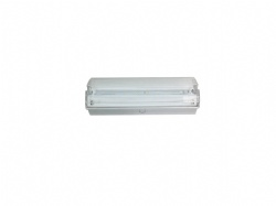 Bulkhead Emergency Light